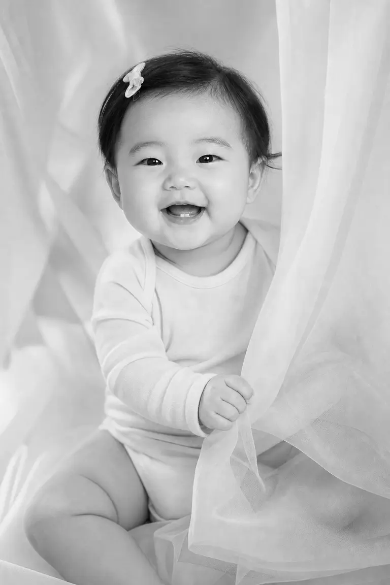 파인아트 쉬폰 베일