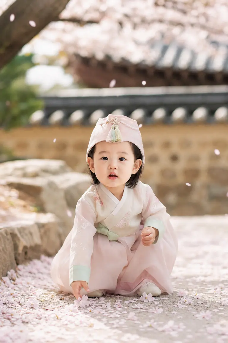 봄 한복 벚꽃 마당 (야외)